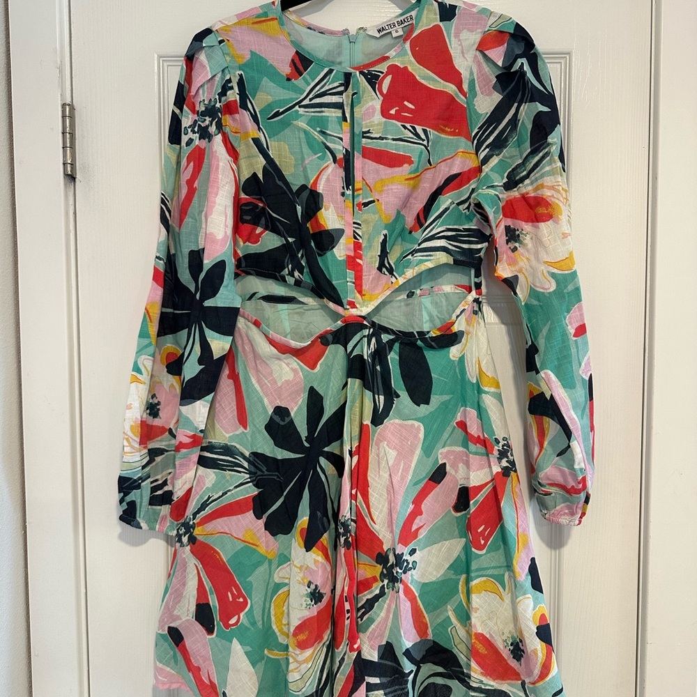 Walter Baker Multicolor Dress